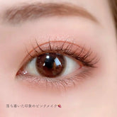 CANMAKE Silky Souffle Eyes Matte Type #M02 Chai Brick